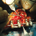 ortho3
