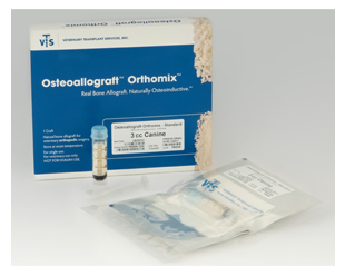 osteo_ortho_photo